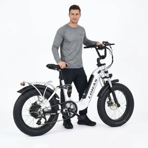 LOHAS 500W Vélo électrique tout-terrain Cadre en alliage d'aluminium 48V Vélo électrique électronique intelligent avec alimentation par batterie au lithium - Product Image 1
