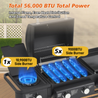 Barbecue portable au gaz propane en acier moderne modèle MQ SKJ avec plaque de cuisson antiadhésive à chauffage uniforme et allumage piézoélectrique, noir