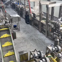 Turnkey project volautomatische productielijn voor diepvriesfrieten (200 kg/uur), op maat gemaakte aardappelverwerkingsinstallatie