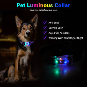 Affichage à défilement <span class=keywords><strong>LED</strong></span> de haute qualité collier pour chien de compagnie lumineux Rechargeable collier pour chien lumineux dans l'obscurité collier pour animal de compagnie - Product Image 6