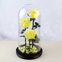 Roses éternelles Every Love Vale dans un dôme en verre avec base pour cadeau de mariage en gros