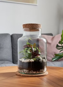 Kit de terrarium en verre écologique DIY, style campagnard, avec bouchon en liège, pour fleurs ou plantes vertes - Product Image 6
