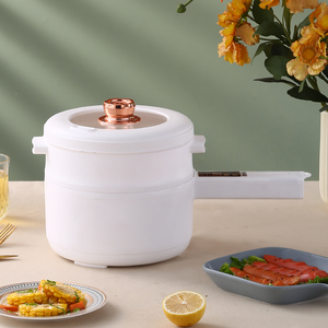 Casserole électrique multifonction de 1,7 l avec 300 W, 600 W, double