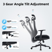 Mobilier de bureau d'usine Ensemble de bureau et de chaises Chaise de jeu ergonomique pour ordinateur Chaises d'officiers pivotantes en maille