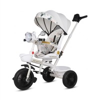 Vente flash - Nouveau tricycle pour bébé NEWPORT SY-207 pour enfants de 2 à 6 ans avec auvent, poignée de poussée et capote - Cadre en métal