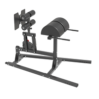Machine d'exercice de haute qualité Glute Jambon Développeur Banc Force Chaise romaine Banc de presse