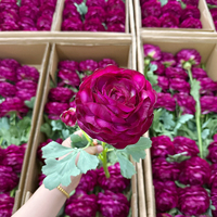 Fleur artificielle rouge rose au toucher réel, fleur de renoncule, arrangement de style moderne fait à la main - Douce, réaliste, parfumée, pour la Saint-Valentin
