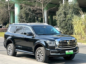 Tank 500 SUV Usato 2023 2024, 7 Posti, <span class=keywords><strong>Auto</strong></span> Usate in <span class=keywords><strong>Vendita</strong></span> - Product Image 3