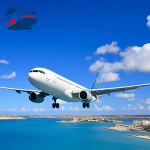 خدمة الشحن الجوي السريع من شنتشن إلى لوس أنجلوس مع تسليم DDP من الباب إلى الباب رحلة مباشرة من الصين إلى الولايات المتحدة الأمريكية - Product Image 2