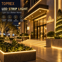 Bande lumineuse LED flexible TOPREX AC 220V étanche IP65 SMD 2835, 120 LED par mètre, haute densité, en PVC, pour décoration extérieure