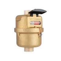 Customizable Blue Rotary Piston Water Meter R160 Volumetric Water Meter with IP68 Protection Class OEM Support