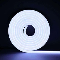 Tube de lampe led néon étanche avec Gel de silice, lampe Flexible, 12V