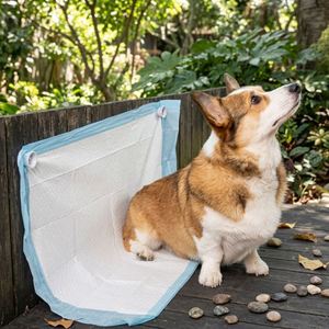 Emballage personnalisé, coussinets absorbants jetables en charbon de bambou pour animaux de compagnie, 33*45, pour petits animaux - Product Image 1