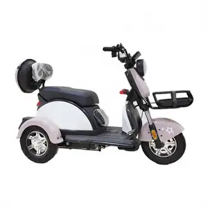 Putian Elegant Center Differential Split Tricycle Riksha Electric For Elder Use