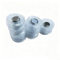 Magnet Pakaian Harga Pabrik N35 dengan Magnet Perhiasan Permanen PVC Tahan Air Magnet Ndfeb Bulat