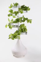 Tour hydroponique verticale à 10 étages pour balcon intérieur, système de culture sans sol pour légumes et fraises