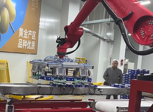Bras de robot industriel à 6 axes, charge utile de 100 kg, portée de 3500 mm pour la manutention, la palettisation, la soudure et l'automatisation - Product Image 3