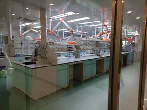 תווית פרטית oem ילדים דוב ויטמין gummies סוכר ילדים ללא סוכר ויטמינים תוספת גומות לילדים - Product Image 5