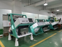 Machine de tri optique IA WYCS2-128 pour châtaignes séchées et pelées, pour la ligne de tri et de nettoyage des noix