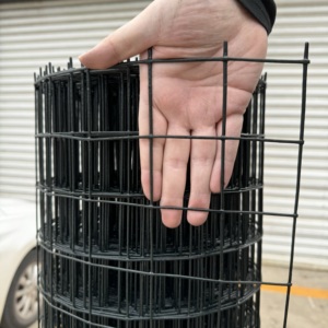 Grillage <span class=keywords><strong>soudé</strong></span> à l'arc de 25 mm de diamètre, fil de 1,8 mm - Grillage de clôture en acier galvanisé recouvert de PVC noir - Product Image 6