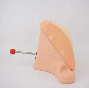 Con Người Bệnh Nhân Đáy Chậu Cắt Và Khâu Đào Tạo Mô Phỏng - Product Image 3