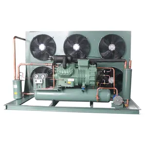 Refrigeration Air Cooled 3HP Semi-hermetic Compressor Condensing Unit For Cold Room Freezer Condensing Unit