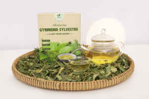 Hand-Pick Gymnema Sylvestre Celastrus Hindsii Leaf Dried Herbal <b>Tea</b> Supports Healthy Premium Herbal <b>Tea</b> Blends 2G NMPT Brand - Product Image 3