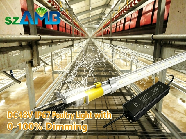 LED Light for Poultry Farm T5/T6 Cage System IP67 5-Year Warranty Flicker-free Dimming Red+White Switchable