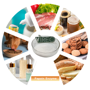 Bột Enzyme Papain Dùng Cho Thịt Và Bia, Chiết Xuất <span class=keywords><strong>Papaya</strong></span> Latex, Papain Thực Phẩm, Hợp Chuẩn Halal - Product Image 3