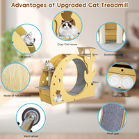 Roue d'exercice pour chat Roues de chat de 37 pouces pour intérieur 4 en 1 Tapis de tour d'arbre pour chats adapté à la roue de course silencieuse
