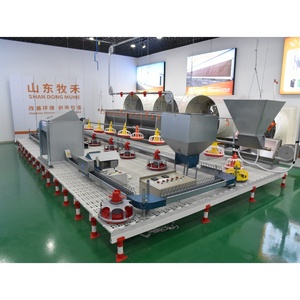 Tự Động Nhựa Chuỗi Thức Ăn <span class=keywords><strong>Pan</strong></span> Hệ Thống Cho Gà Nuôi Lớp Hen Động Vật Ăn Với Điều Kiện Dòng - Product Image 5