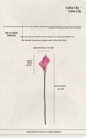 47cm Realistische EVA Künstliche Calla-Lilien Blumen Brautstrauß Tischdekoration Hochzeitsdekoration Duftend Langlebig