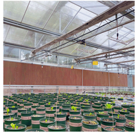 Nouvelle paroi de refroidissement par évaporation à cadre en bois pour serre avicole/élevage