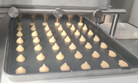 Machine automatique de fabrication de biscuits en gros Wanli