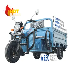 Lb-Zz160 Chinese 3 Wheel Cargo Petrol Tricycle Water Cooled 3 Wheel Tricycle For Sales