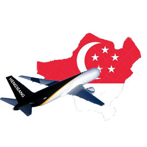 Spedizioniere DDP Veloce, FCL <span class=keywords><strong>LCL</strong></span> al Porto, Consegna Espressa Aerea Porta a Porta a <span class=keywords><strong>Singapore</strong></span>, Malesia, Thailandia, Vietnam, Agente di Spedizione - Product Image 1