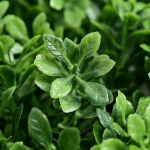 Artificial Mixed Greenery Foliage Panel Dense Green Vertical Garden <b>Wall</b> Mat UV Resistant Indoor Outdoor Decorative Decor - Product Image 2