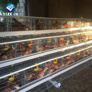 Jaula tipo a para aves <span class=keywords><strong>de</strong></span> corral, jaula para <span class=keywords><strong>pollos</strong></span>, polluelos <span class=keywords><strong>de</strong></span> bebé - Product Image 2