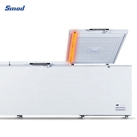 Congélateur horizontal commercial à deux portes de grande capacité de 1000 litres
