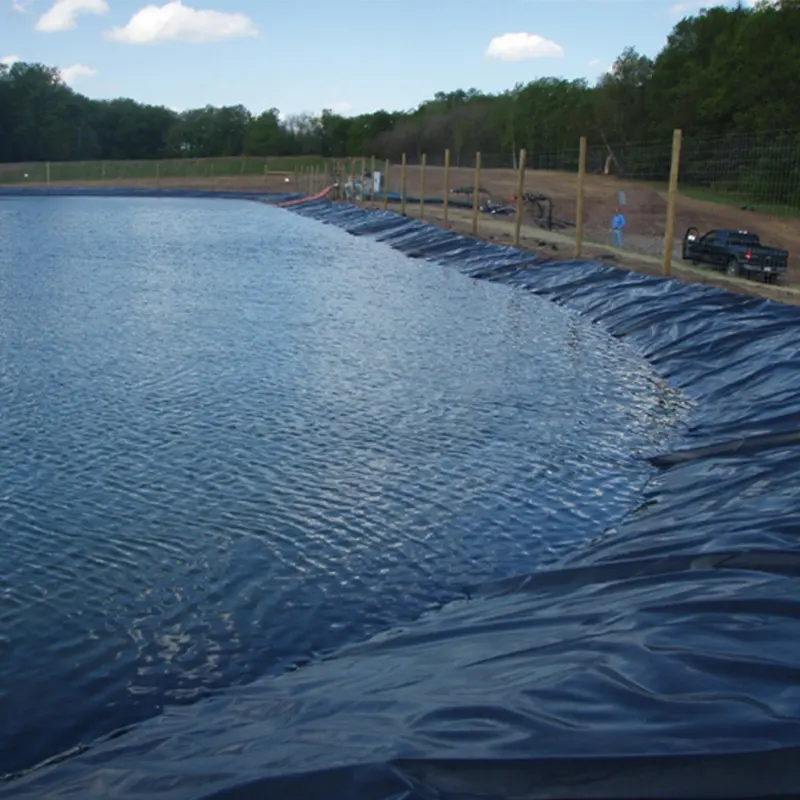 factory price HDPE geomembrane / plastic liner / hdpe dam line pond lining for shrimp farm
