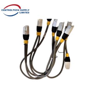 สายเชื่อมต่อ I/O แบบ 6-Drop รุ่นใหม่แท้ รหัส 51202971-102 แรงดันไฟฟ้า 24VDC กระแสไฟ 2A อุณหภูมิใช้งาน -40 ถึง 85 องศาเซลเซียส สำหรับ TDC 3000 Experion PKS DCS - Product Image 3