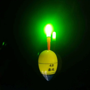 Flotteur de pêche étanche à LED avec bâton lumineux et tubes en mousse plastique pour la pêche au bar, flotteur coulissant pour la pêche de nuit - Product Image 4