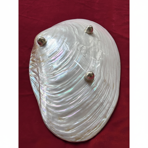 จานคาเวียร์ทำมือ: จานเปลือกหอยมุก2025คุณภาพสูงชุดจานเปลือกหอยหอยสังข์อุปกรณ์เสริม - Product Image 1