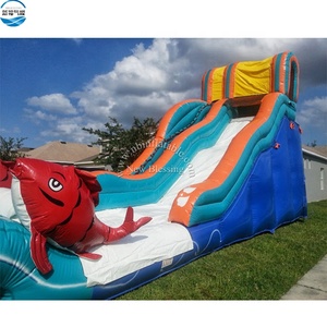 Tùy chỉnh khổng lồ Inflatable cướp biển chủ đề trượt nước với hồ bơi phiêu lưu galley trượt - Product Image 6