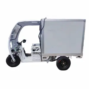 高品质EEC认证电动冷藏车机动三轮车货物开放式车身