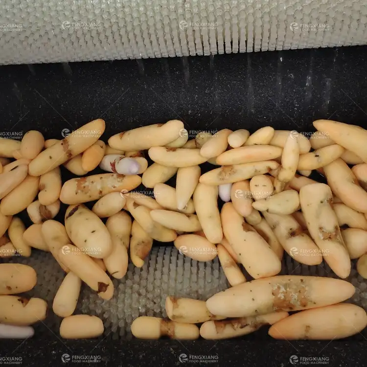 Cepillo de rodillo de vegetales de raíz de patata dulce de yuca zanahoria Taro ñame chino jengibre pelar y lavado de la máquina de limpieza de