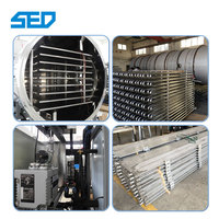Industriële SED-3DG-B vriesdrooginstallatie voor voedselverwerking, hoge productiviteit, kerncomponenten: motor & aandrijving