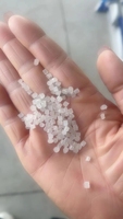 Les fabricants fournissent des particules de plastique recyclé LDPE