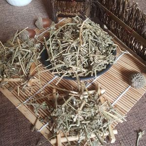 Bei Feng Cao Natural salvaje seco Leucas <span class=keywords><strong>Mollissima</strong></span> plantas Herba Leucatis Molloissimae para la venta - Product Image 2