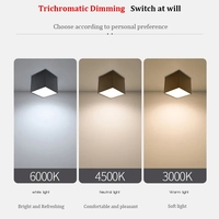 Spot de plafond en cube LED 9W 12W 15W 20W 25W 30W monté en surface pour éclairage de descente COB dans le couloir de la chambre